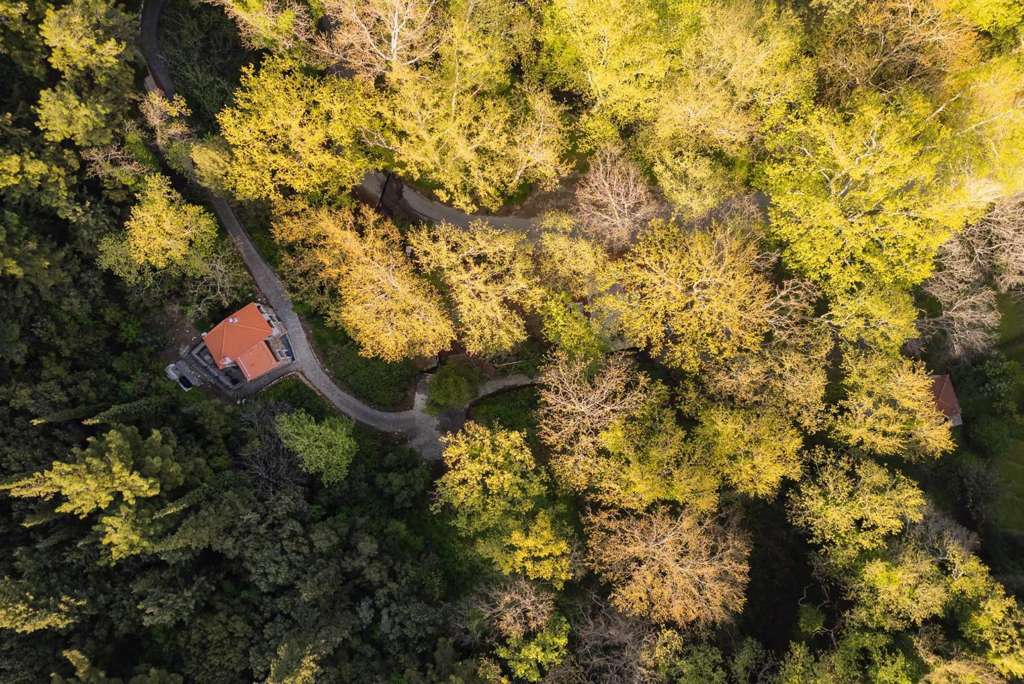 Prázdninový dům Stone Nest